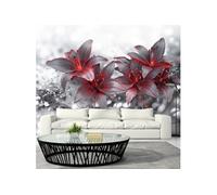 Papier peint Shadow of Passion-Taille L 100 x H 70 cm Imprimé