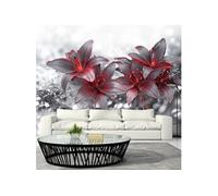 Papier peint Shadow of Passion-Taille L 250 x H 175 cm