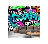 Papier peint - Sports Graffiti - 100x70 (62453)