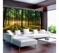 Papier peint Spring: Morning in the Forest-Taille L 200 x H 140 cm Imprimé