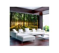 Papier peint Spring: Morning in the Forest-Taille L 400 x H 280 cm Imprimé