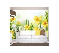 Papier peint Spring walk-Taille L 300 x H 210 cm Imprimé