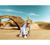 Komar Papier Peint de Photo, 368cm x 254cm, Star Wars Lost Droïds