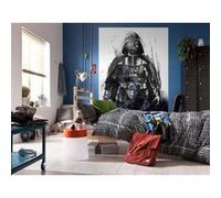 Papier Peint - Star Wars Watercolor Vader 200x280cm - Intissé, Multicolors G