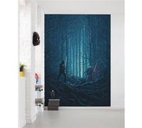 Poster XXL Star Wars Combat de Bois l200 x H280 cm