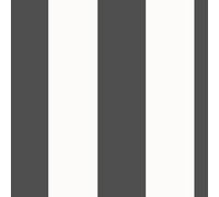 Papier Peint Rayé Noir / Blanc - RASCH 286694