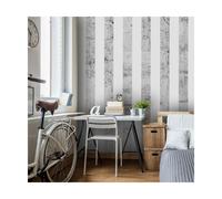 Papier Peint "Style Gris" 50x1000cm