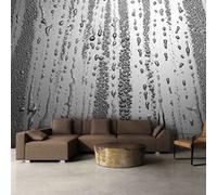 Papier peint Summer drizzle-Taille L 350 x H 245 cm