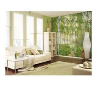Komar 8-519 368 x 254 cm "NATIONAL GEOGRAPHIC Dimanche printemps Arbre Bouleau Forêt" Papier peint - Vert (Lot de 8)