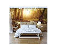 Papier peint Sunny Current-Taille L 100 x H 70 cm Imprimé