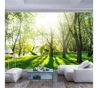 Papier peint - Sunny May Day - 300x210 Artgeist (63323) Multicolore G