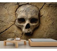 Papier peint tête de mort terreuse terre fissurée papier peint chambre d'enfant squelette papier peint mural pour chambre bureau salon 390 x 260 cm