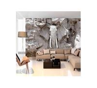 Papier Peint "The Bridge of Time South Africa" 245 x 350 cm Multicolore G