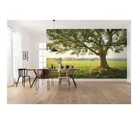 Papier Peint - The Magic Tree 450x280cm - Intissé, G