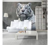 Papier peint Tigre du Bengale au zoo 2-Taille L 450 x H 270 cm