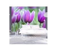Papier peint Tulipes violettes au printemps-Taille L 400 x H 309 cm Imprimé