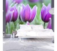Papier peint Tulipes violettes au printemps-Taille L 400 x H 309 cm Imprimé