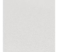 Papier Peint Uni Zarter Farbton - GRIS