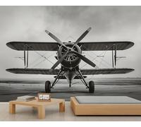 Papier peint vintage biplan pour chambre à coucher - Papier peint monochrome - Pour les amateurs d'avions - Murales sur le thème de l'aviation pour le salon et la salle à manger - 400 x 280 cm