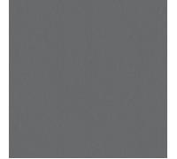 A.S. Creation TrendWall 2 379733 Papier peint intissé uni 0.53 m x 10.05 m Gris
