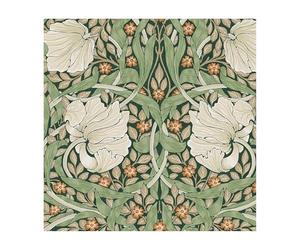 Papier peint William Morris Pimpernel Green 1005x52cm