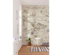 Papier Peint - Winnie Pooh Map 200x240cm - Intissé, Multicolors G