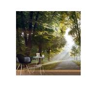 Papier peint XXL Morning Walk II 2-Taille L 500 x H 280 cm Imprimé