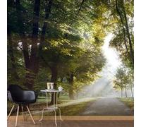 Papier peint XXL Morning Walk II 2-Taille L 500 x H 280 cm Imprimé