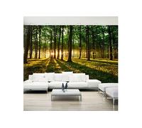 Papier peint XXL Mystical Morning II-Taille L 500 x H 280 cm Imprimé
