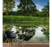 Papier peint XXL The Magic Pond II 2-Taille L 500 x H 280 cm Imprimé