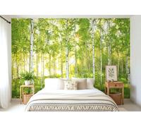 Papier Peinture Murale Komar Style Photo Nature Forêt Vert 368x248 cm