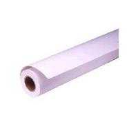 Papier Photo Epson C13S041725 - Blanc - 43,2 cm x 30,5 m - Photos