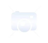 Papier photo satiné HP Premium Instant-dry - Q7996A - 260 g/m2 - 106,7 cm x 30,5 m