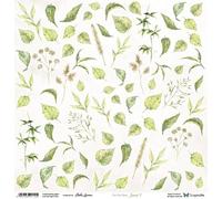Papier Scrapbooking 30x30 - ScrapAndMe - Feuilles 7 - Feuille Découpeuse