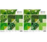 Papier scrapbooking Artemio - Vert feuilles - 30,5 x 30,5 cm - 6 feuilles (Lot de 2)