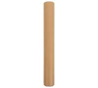 Papier Sulfurisé Marron en Rouleau pour Four et Plaques de Cuisson | Feuille Jetable Antiadhésive et Absorbante, Légumes et Préparation Pâtissière au Four