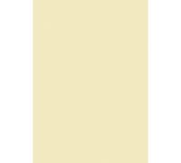 Papier universel chamois DIN A4 160g
