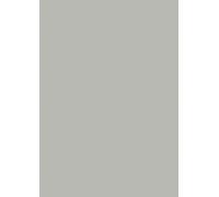 Papier universel gris DIN A4 80g