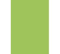 Papier universel Papier pour imprimante Couleur vert clair Contenu 50 feuilles 80g