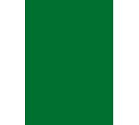 Papier universel vert foncé DIN A4 160g