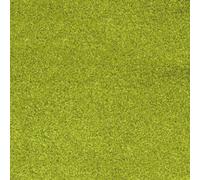 Papier Vert Mai Poudre Paillettes 200 G/M² 30,5 Cm