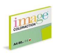 Papier xérographique A4 Coloraction 80 g, Java vert moyen, 100 flles
