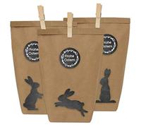 Papierdrachen 12 Sacs-Cadeaux de Pâques à fabriquer et remplir soi-même - Nid de Pâques avec 12 Sacs en Papier et Autocollants Lapins de Pâques - Modèle 1