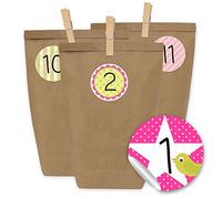 Papierdrachen Calendrier de l'Avent à remplir 2021-24 Pochettes Cadeaux et 24 Autocollants et Pinces à Chiffres - Motif Rose-Vert pour Filles - à remplir et à bricoler - Noël 2021 - Mini Set n° 14