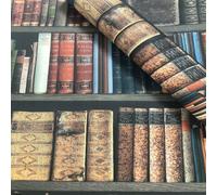 Papiers Peints Roulés Décor Bibliothèque 934809 Rasch
