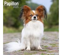 Papillon Calendar 2025 Square Dog Breed Wall Calendar - 16 Month