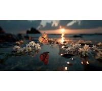 Papillon Diamond Painting Adulte, Peinture Diamant Fleurs, DIY 5D Diamant Painting Point de Croix Artisanat, Loisirs Créatifs Adultes Crystal Art Kit pour Décoration, Cadeau 200x100 cm - KF0127Z