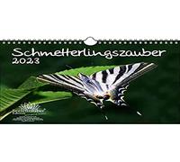 Papillon Magie - Calendrier A4 - Pour papillon 2023 - Seelenzauber