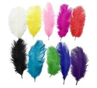 PAPILLON Plumes d'autruche Pack 10 34/38 cm Parti Costume rouge Accessoires 865