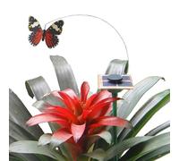 Papillon Volant Solaire, Papillon Solaire, Papillon Volant, Papillons Flottants Pour Jardin, Paysage, Décoration,Simulation Et Papillon D'éducation Avec Le